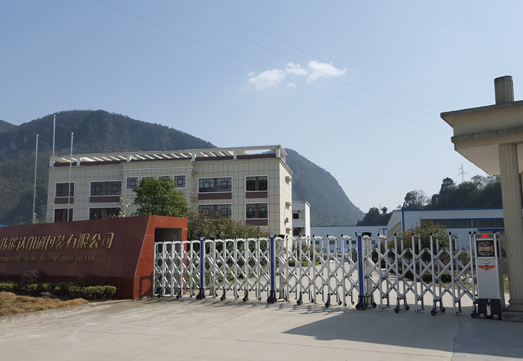  湖北伟能达印刷有限公司案例